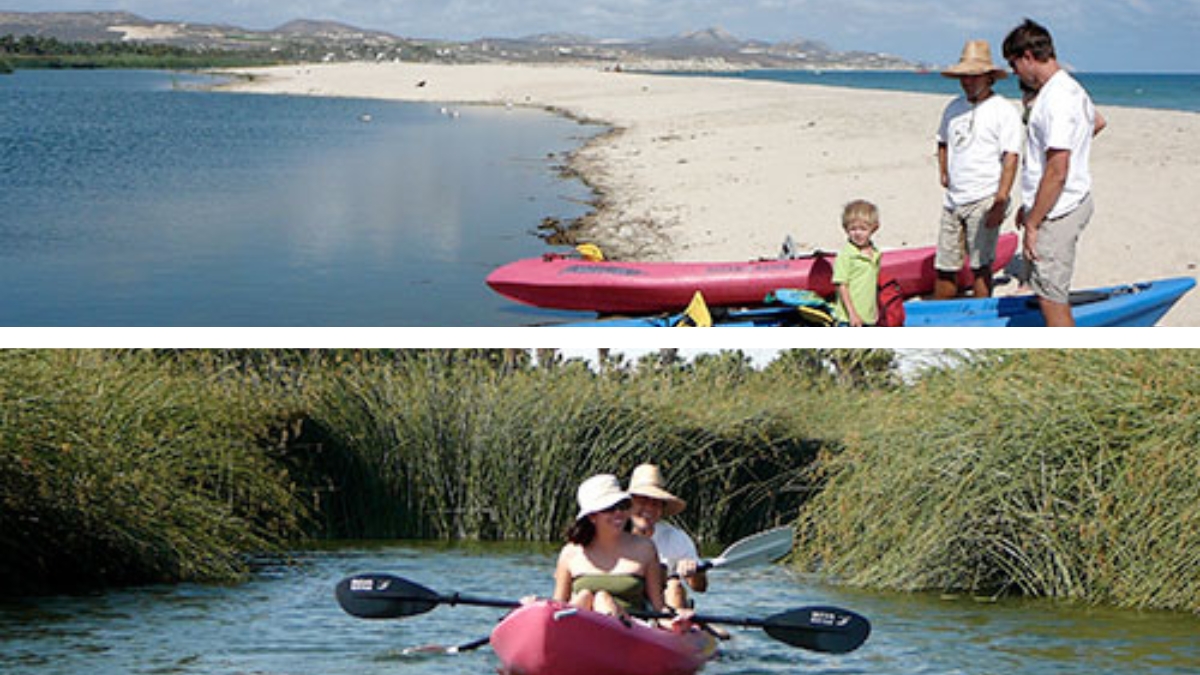Kayaking in San Jose del Cabo's Estuary