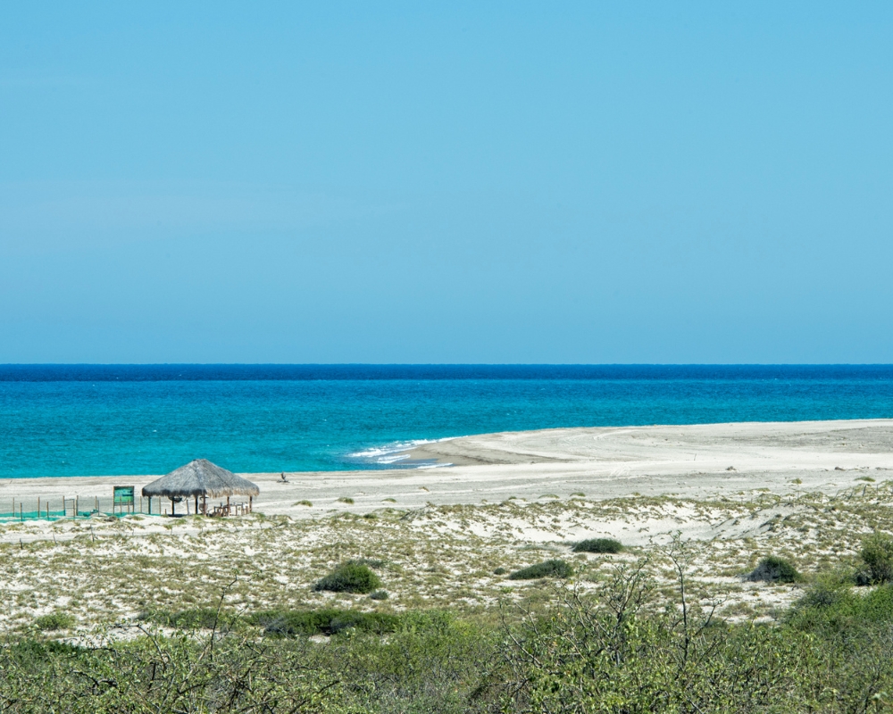 Cabo Pulmo national marine park beach