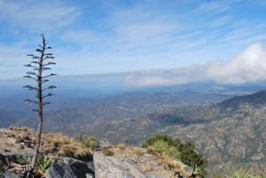 The El Picacho mountain view at the Sierra de la Laguna