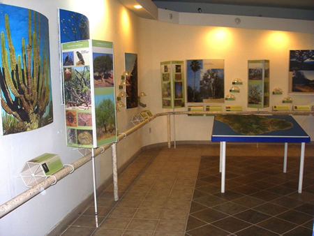 Cabo San Lucas natural life museum