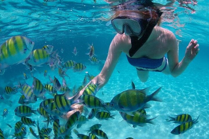 The 5 Best Snorkeling Spots in Cabo