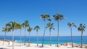 Cabo Weather in January: Overview and Guide