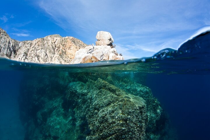 The Pelican Rock snorkel site