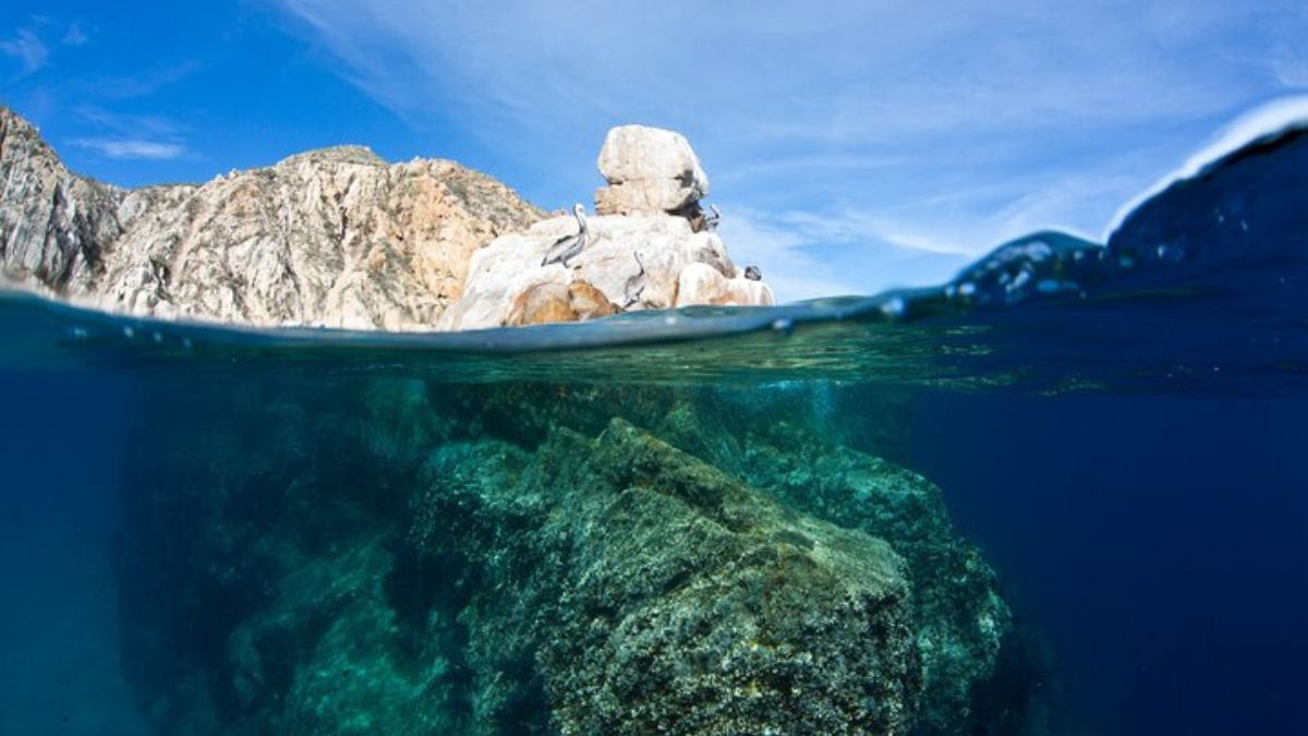 The Pelican Rock underwater