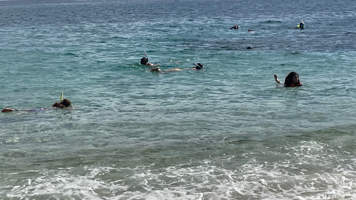 Snorkelers at Chileno Beach