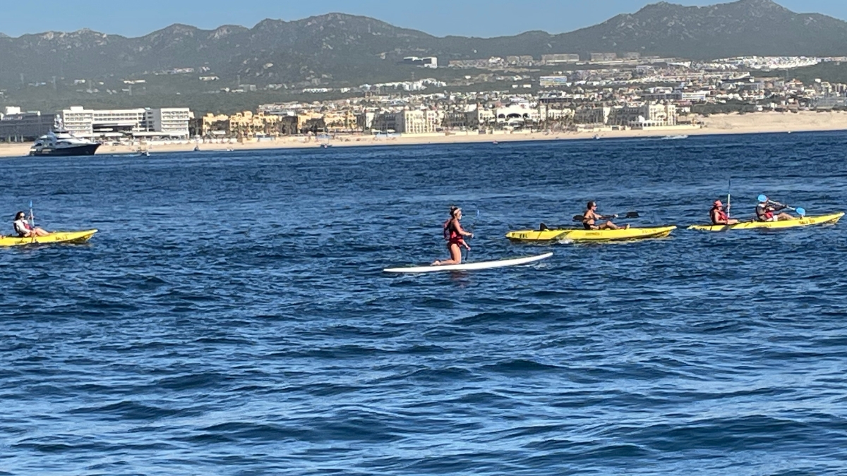 Visitors Paddleboard and Kayak at Cabo Bay