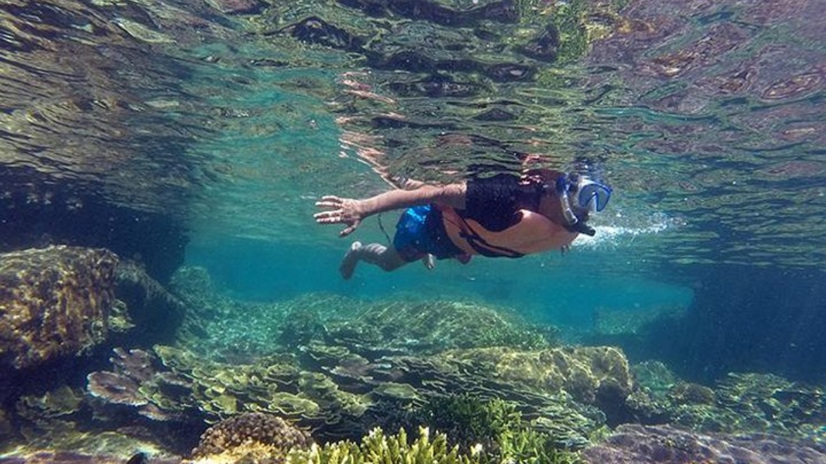 Snorkeling over the reef in Cabo Pulmo