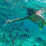 Cabo Pulmo Snorkel Expedition: Cabo Pulmo Snorkeling Tour