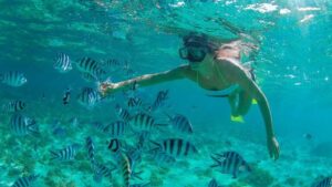 Snorkeler at Cabo Pulmo
